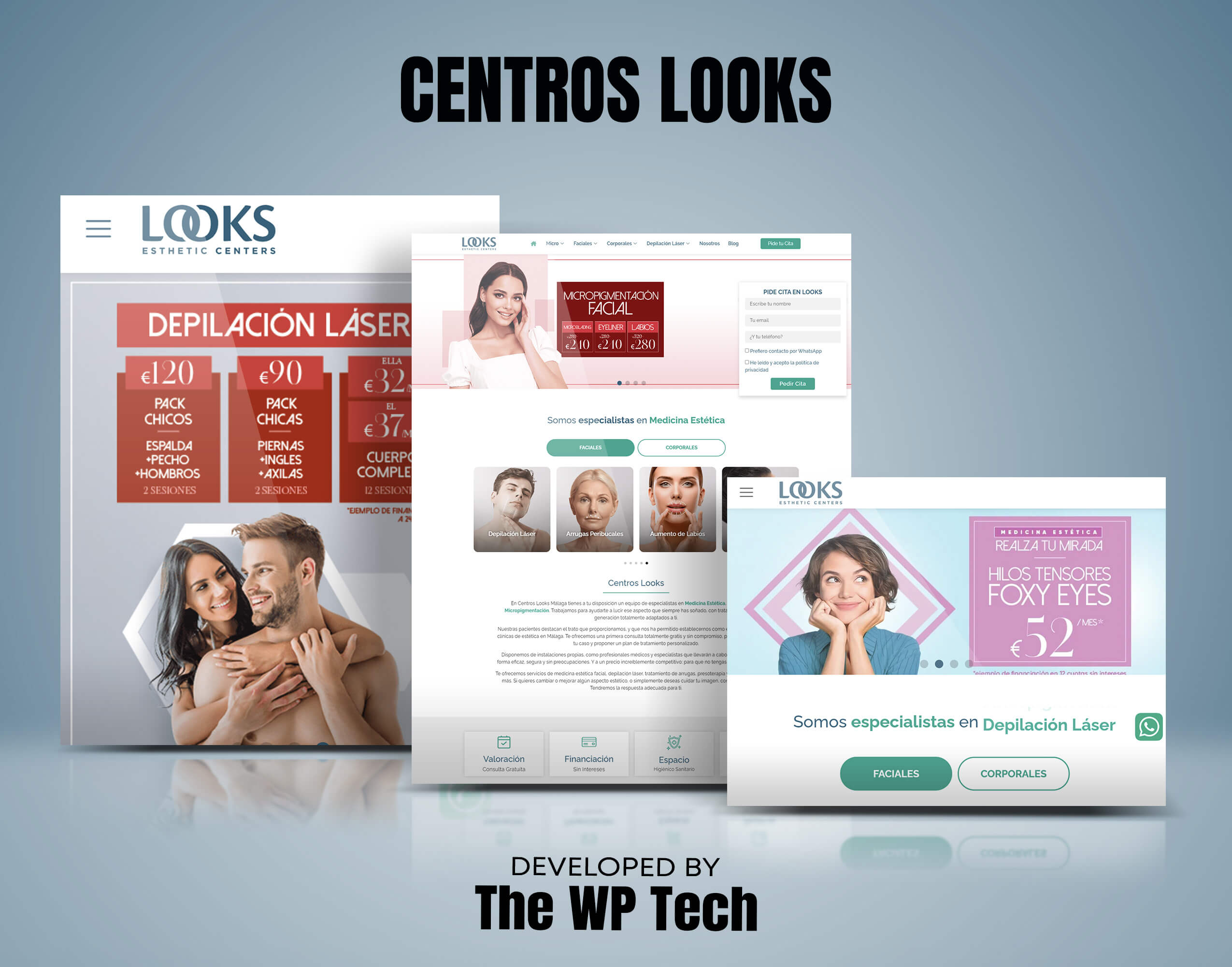 WordPress Website Development Services 43 Centros Looks Portfolio
