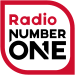 WordPress Website Development Services 9 Radio-number-one logo