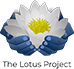 WordPress Website Development Services 4 The Lotus Project logo